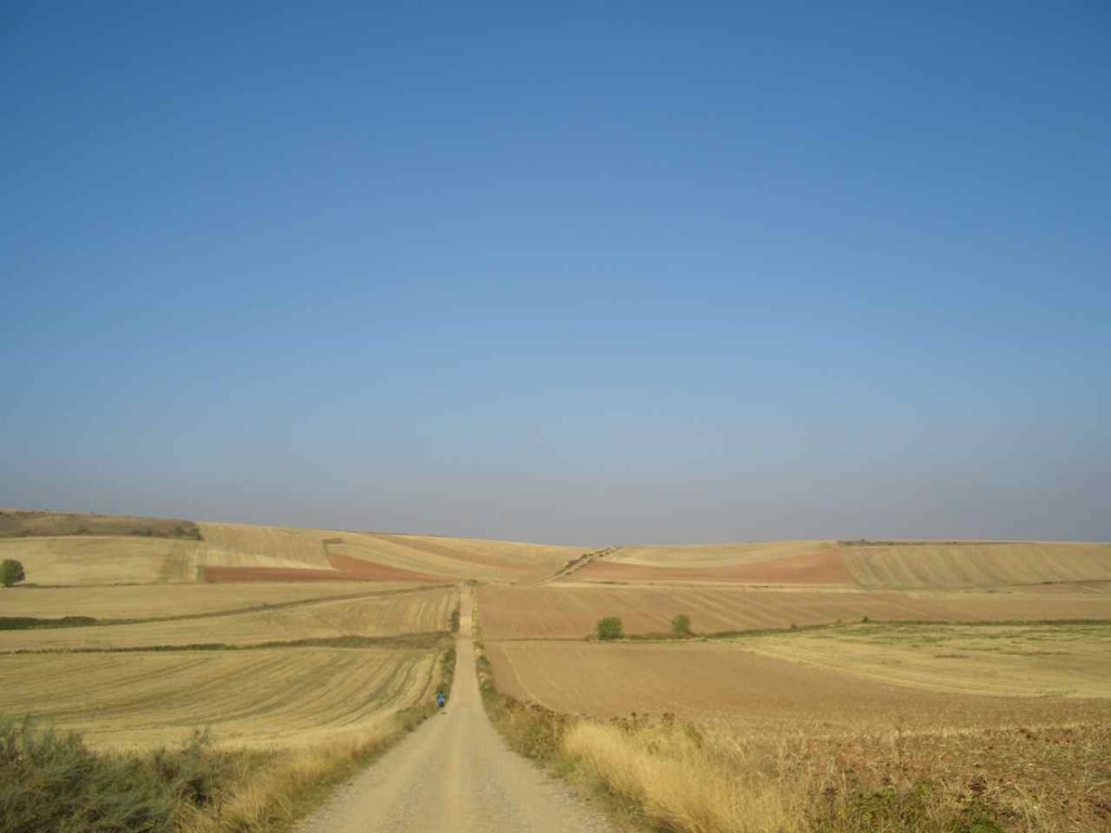 Jakobsweg, Der Weg durch weite Kornfelder