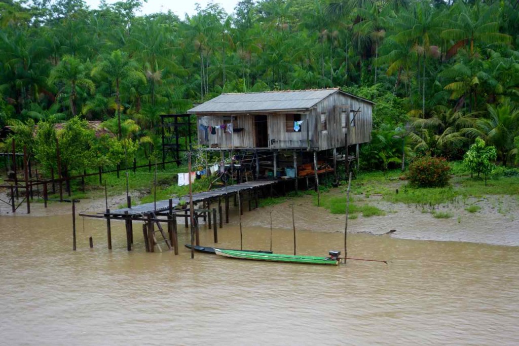 Amazonas- Hütte