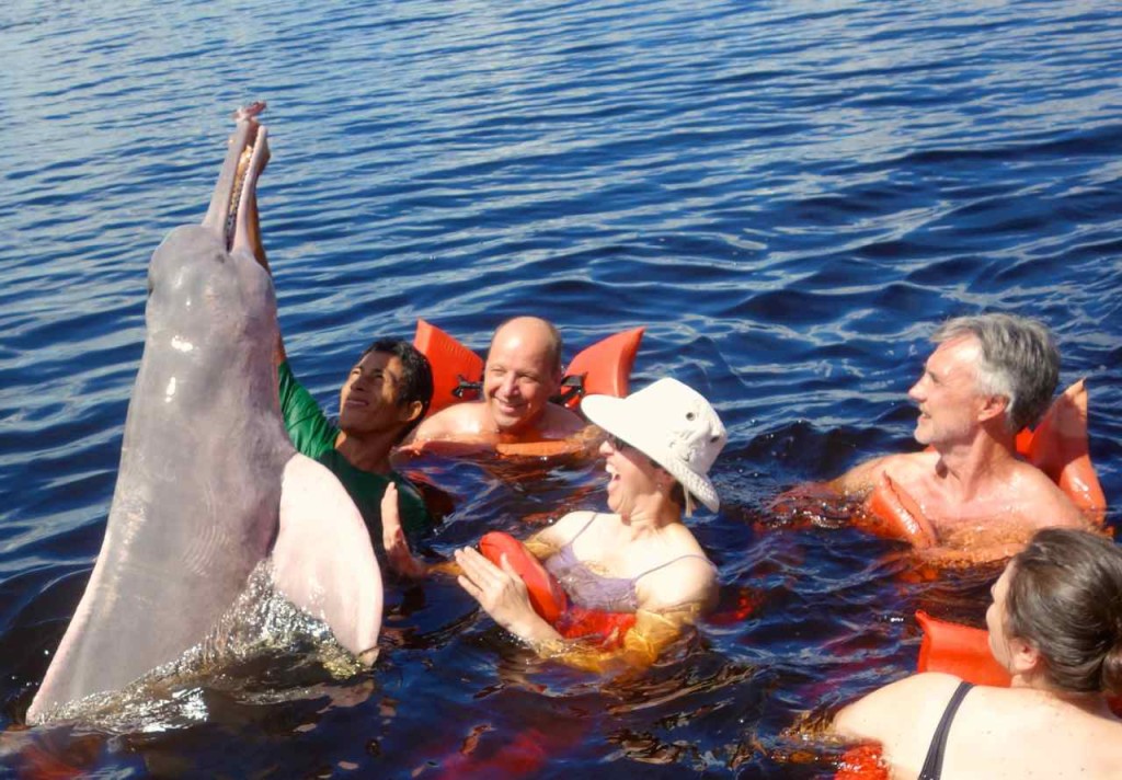Spielen mit Delphinen….