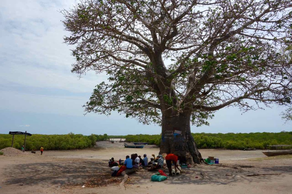 Mosambik, Ibo, Tandanhangue, Warten auf die Flut