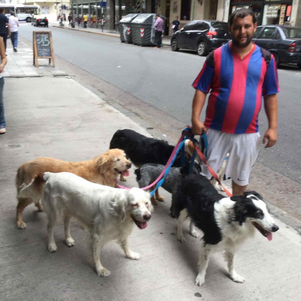 Buenos Aires Hunde mit Paseaperro
