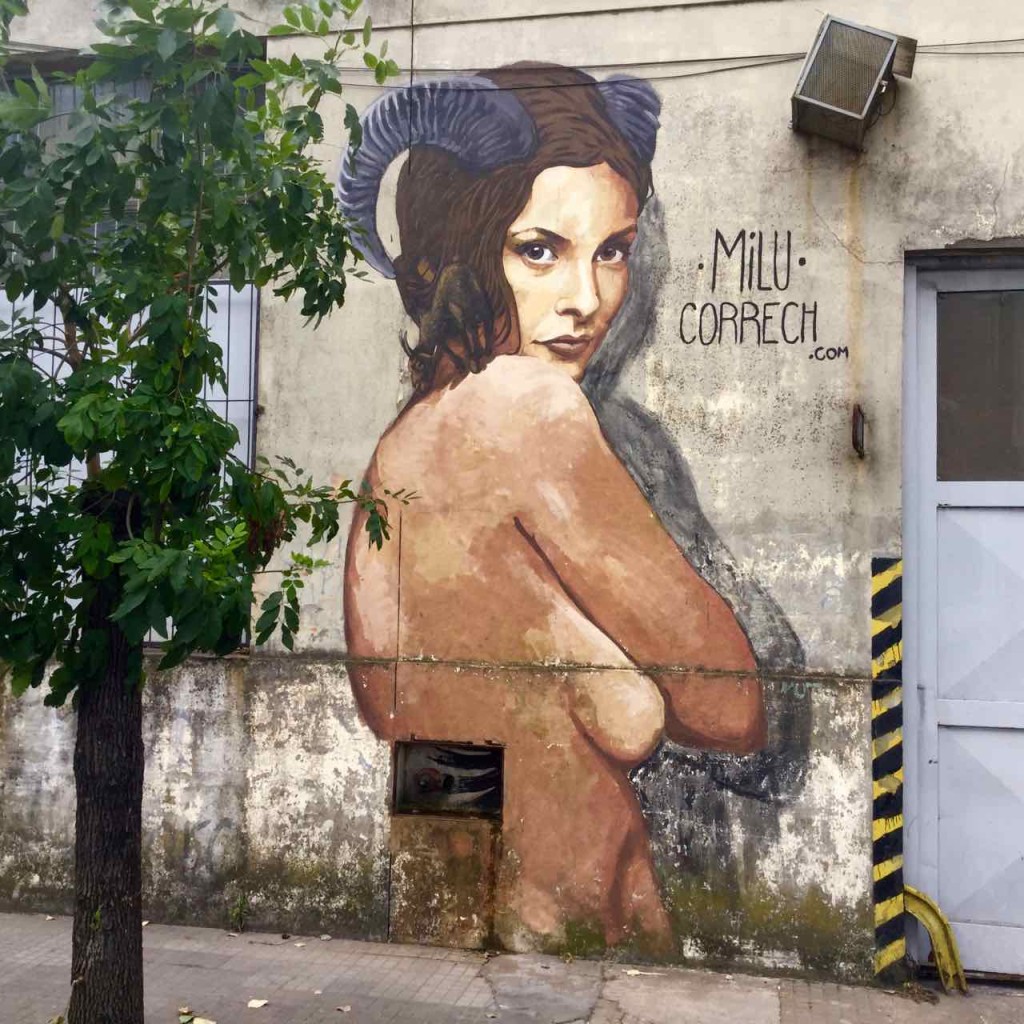 Buenos Aires Street Art in Barracas, Artist: Milu Correch