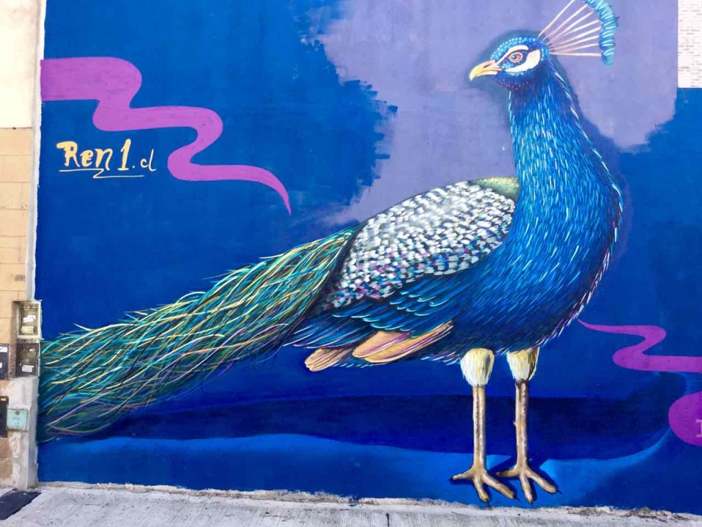 Buenos Aires Street Art, Artist: Ren (Chile), iPod-Foto