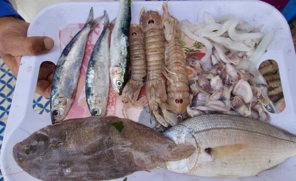 Essaouira Tipps, Die schönsten Restaurants: Fischrestaurants am Hafen: .... Mein Mahl vor der Zubereitung