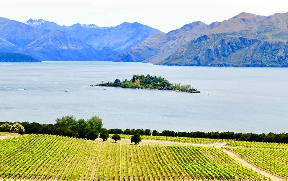 Wanaka Tipps zu Sehenswürdigkeiten: Weingut Rippon mit Lake Wanaka, ©PetersTravel