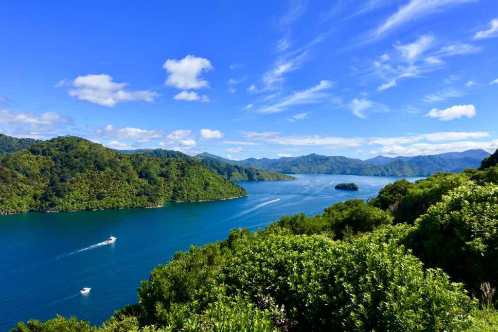 Picton Neuseeland: Blick auf den Queen Charlotte Sound bei strahlendem Sonnenschein