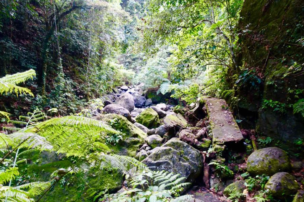 Dumaguete Highlights, Unterwegs zum Casaroro Falls. Rechts im Bild die Überreste des Weges