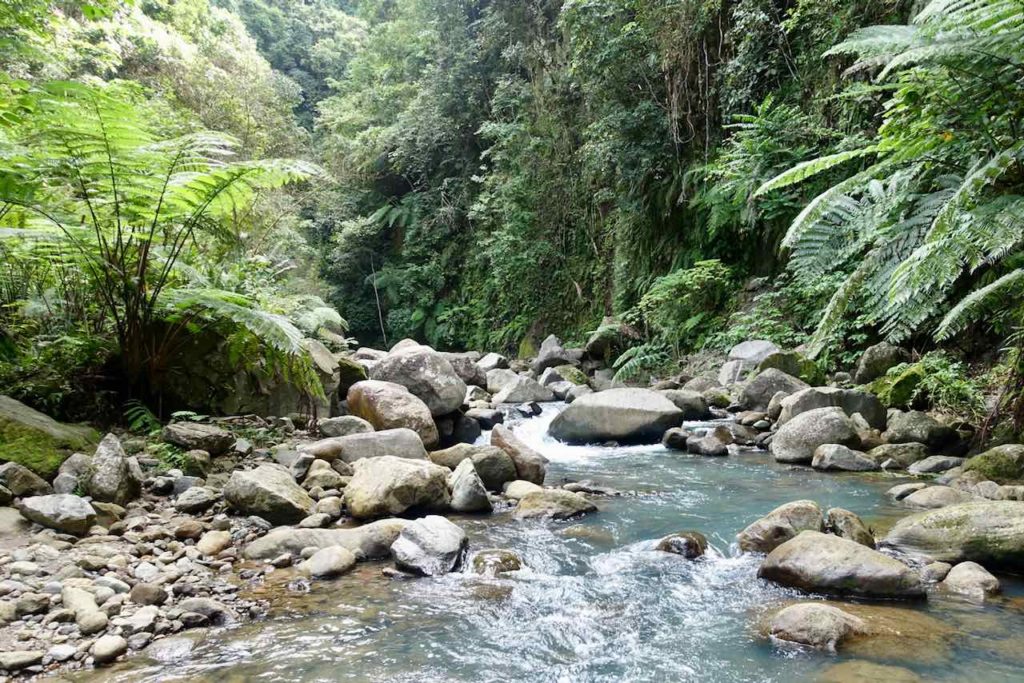 Dumaguete: Da muss man durch, wenn man zum Casaroro Wasserfall will! 