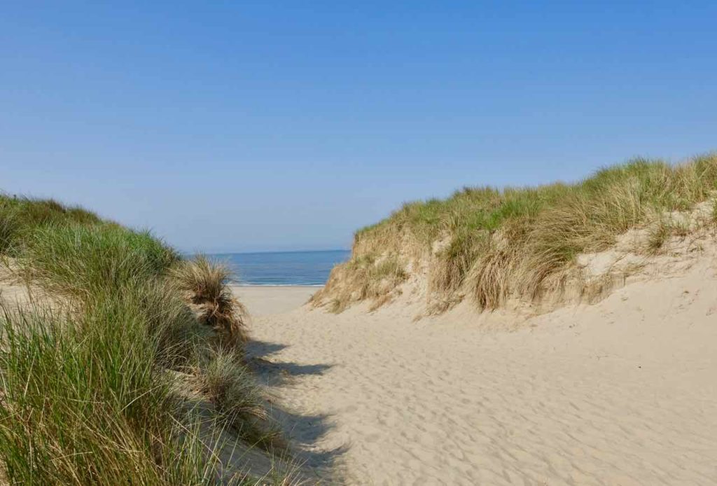 Urlaub auf Texel: Zugang durch die Dünen zum Strand Paal 9