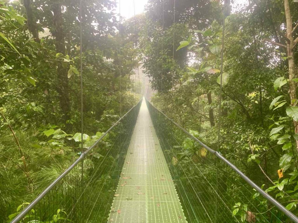 Hängebrücke im Regenwald von Monteverde