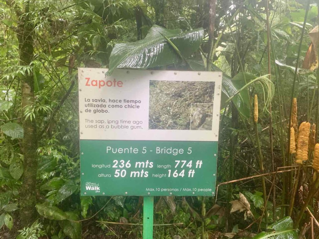 Schild zur Hängebrücke Nr. 5 im Regenwald von Monteverde