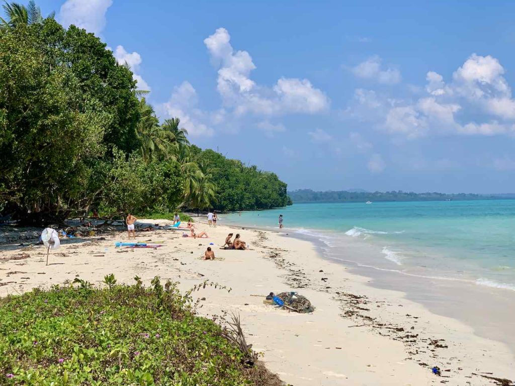 Andaman Islands: Havelock Island Beach Number 5
