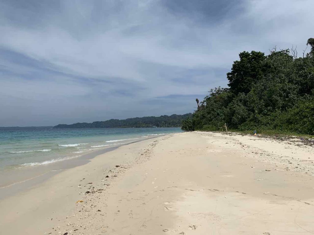 Andamanen: nahe Elephant Beach auf Havelock Island