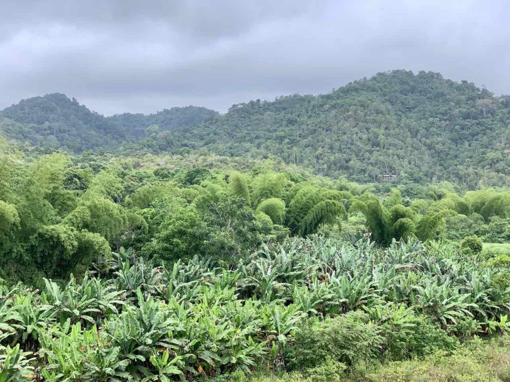 Umgebung von Ayampe, Ecuador