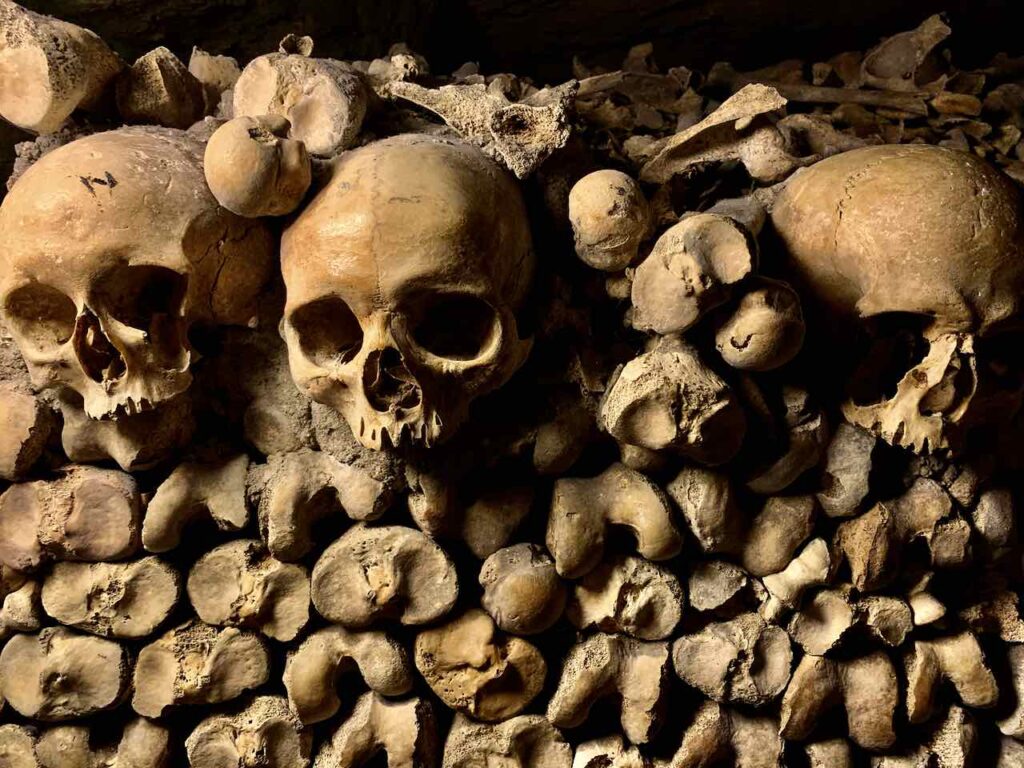 Totenschädel und Gebeine als Stützmauer in den Katakomben von Paris, Frankreich