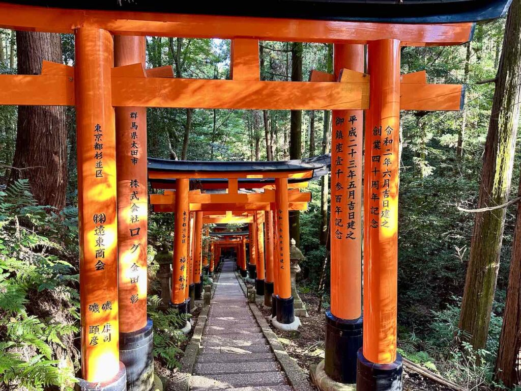 Tore im Fushimi Inari-Taisha Shrine in Kyoto, Japan © PetersTravel Peter Pohle