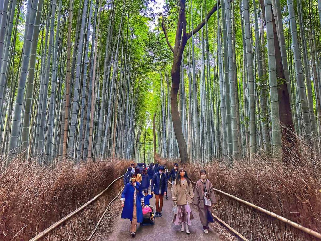 Bambuswald in Arashiyama, Kyoto