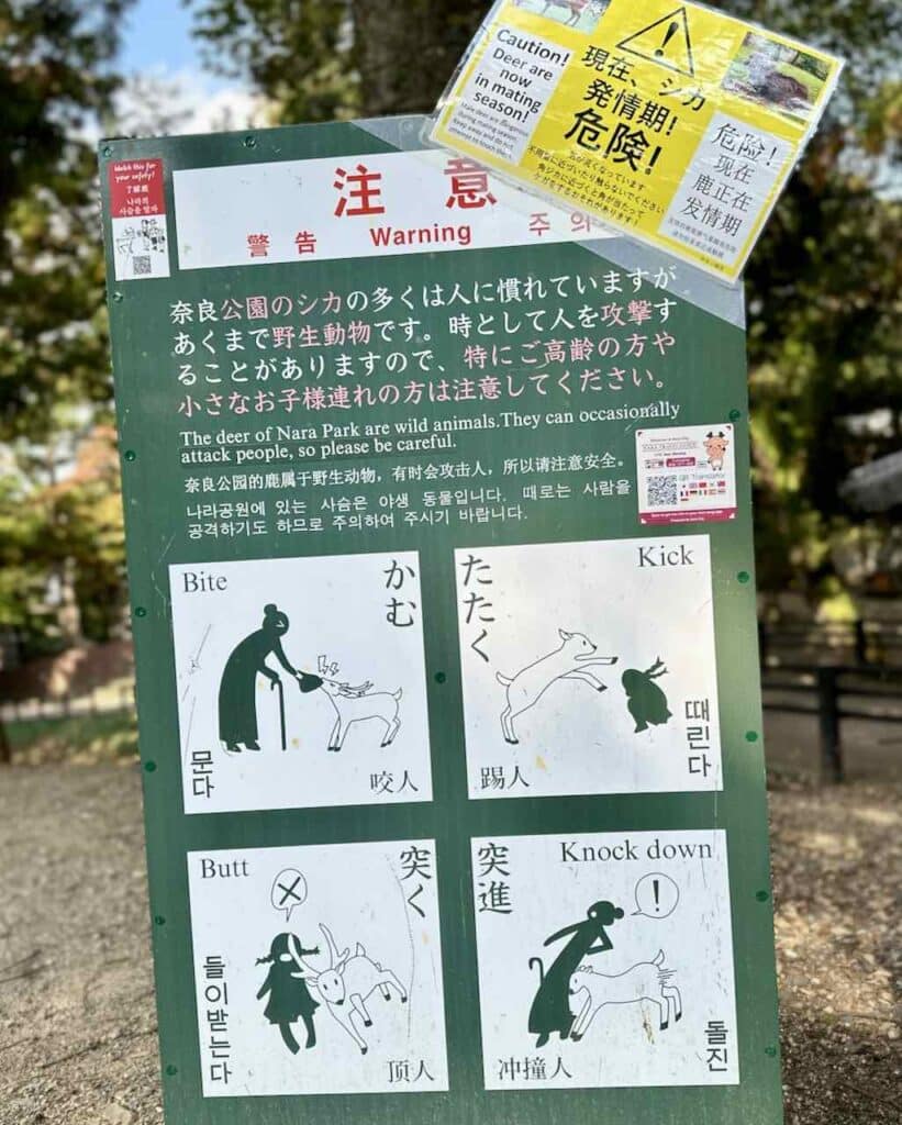 Hinweistafel im Nara-Park, dass die Rehe schon mal richtig ungemütlich werden können, Japan