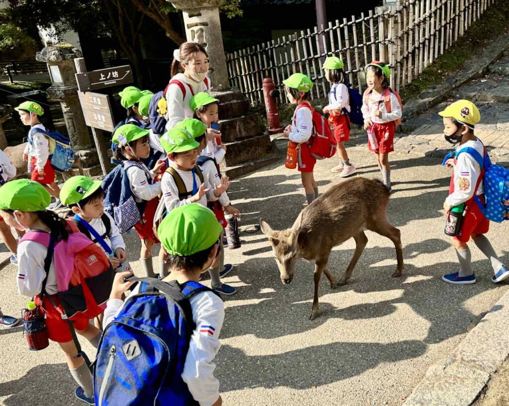 Schulklasse mit Reh im Nara Park, Kyoto