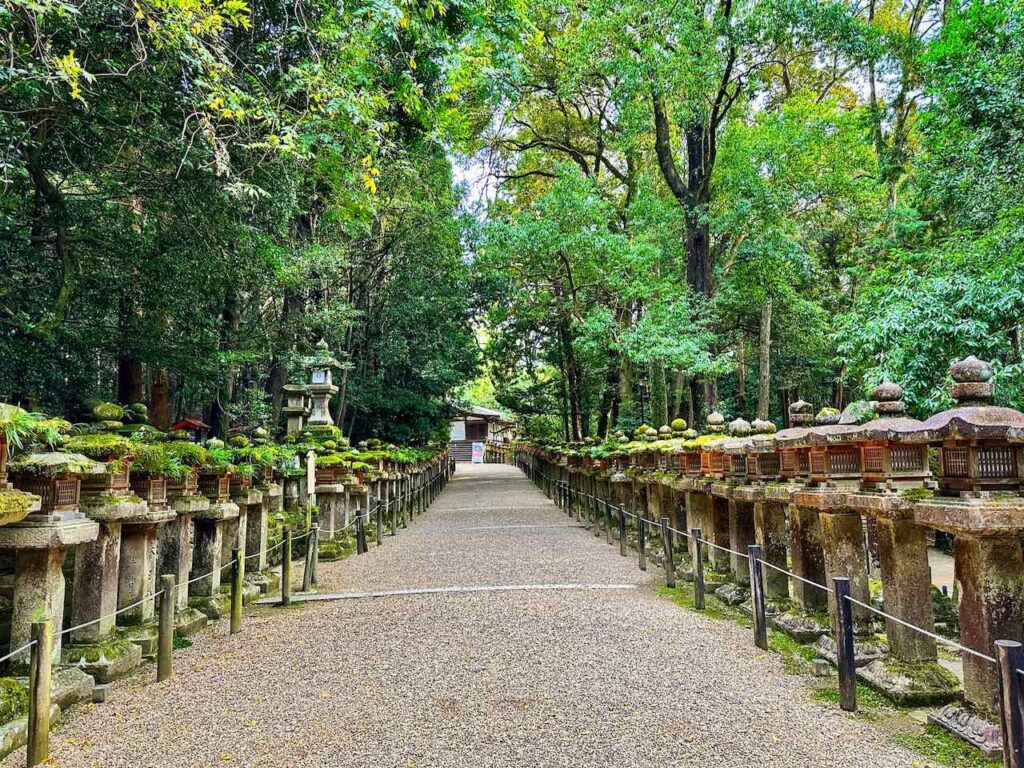 Weg zum Kasuga Taisha Shrine (Lampentempel), Nara, Japan