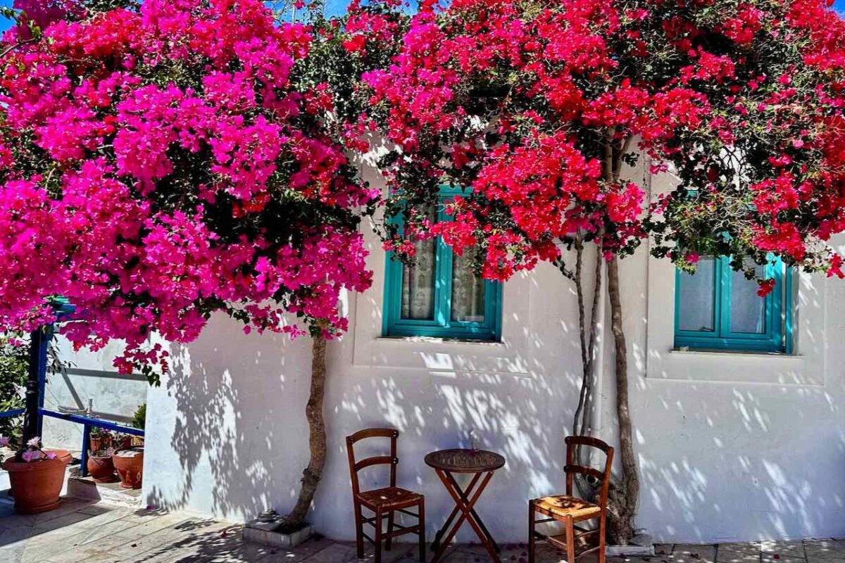 Insel Paros, Idyll vor einem Café in Lefkes © PetersTravel Peter Pohle-min