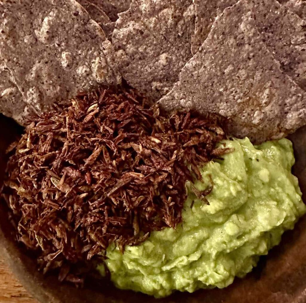 Guacamole mit Heuschrecken © PetersTavel Peter Pohle