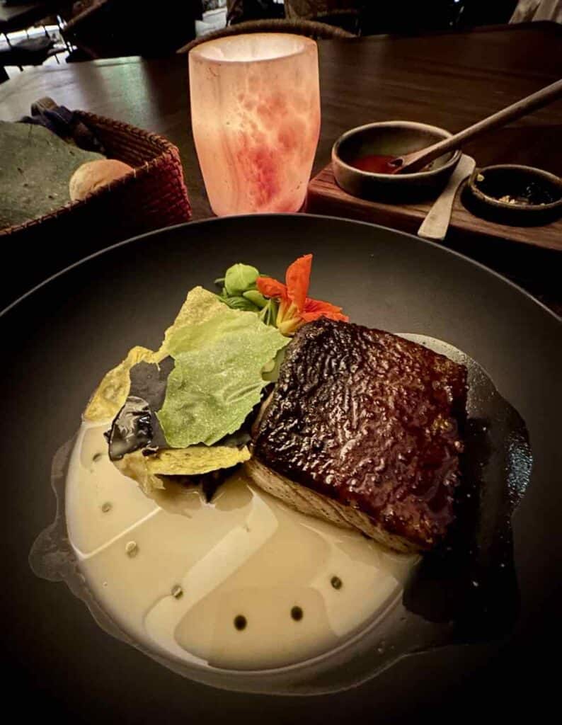 Restaurant Los Danzantes, Oaxaca, Catch of the day, maguey glaze, ranch butter and corn miso emulsion, stewed huitlacoche, epazote, huitlacoche and yellow corn camouflage, © PetersTavel Peter Pohle