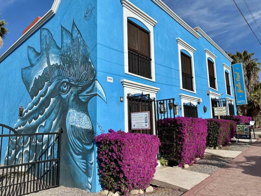Hotel Gallo Azul, Todos Santos, Baja California Sur © PetersTravel Peter Pohle