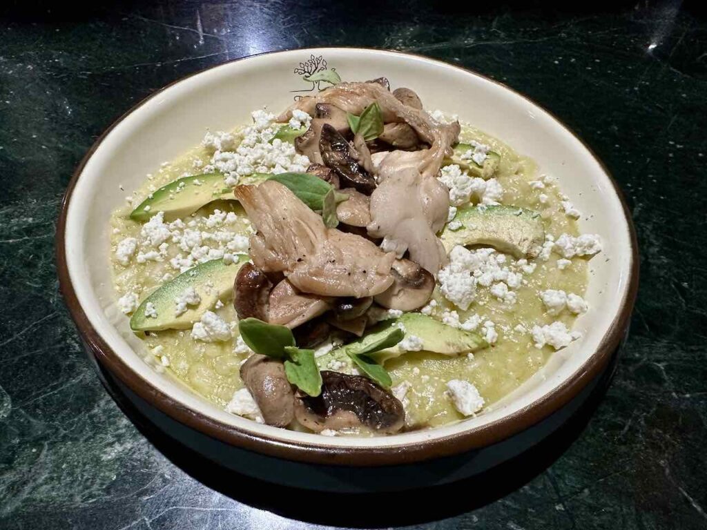 Risotto mit Pilzen & Avocado im Restaurant Oystera, Todos Santos, Baja California Sur © PetersTravel Peter Pohle