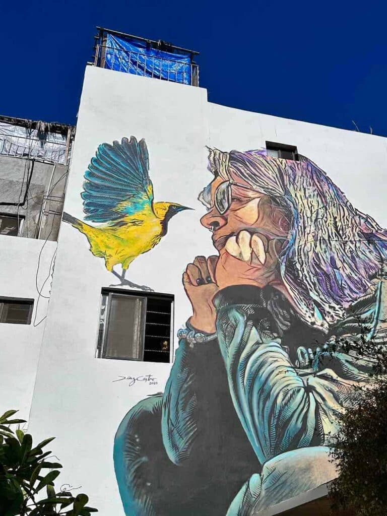 Streetart in La Paz, Baja California © PetersTravel Peter Pohle