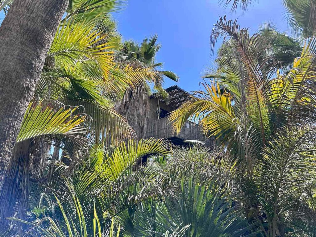 Baumhaus im Acre Resort, San José del Cabo, Baja California, Mexiko © PetersTravel Peter Pohle