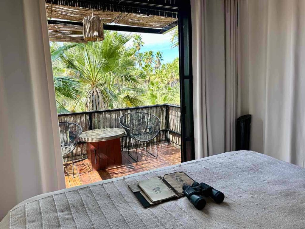 Baumhaus im Acre Resort, San José del Cabo, Baja California, Mexiko © PetersTravel Peter Pohle