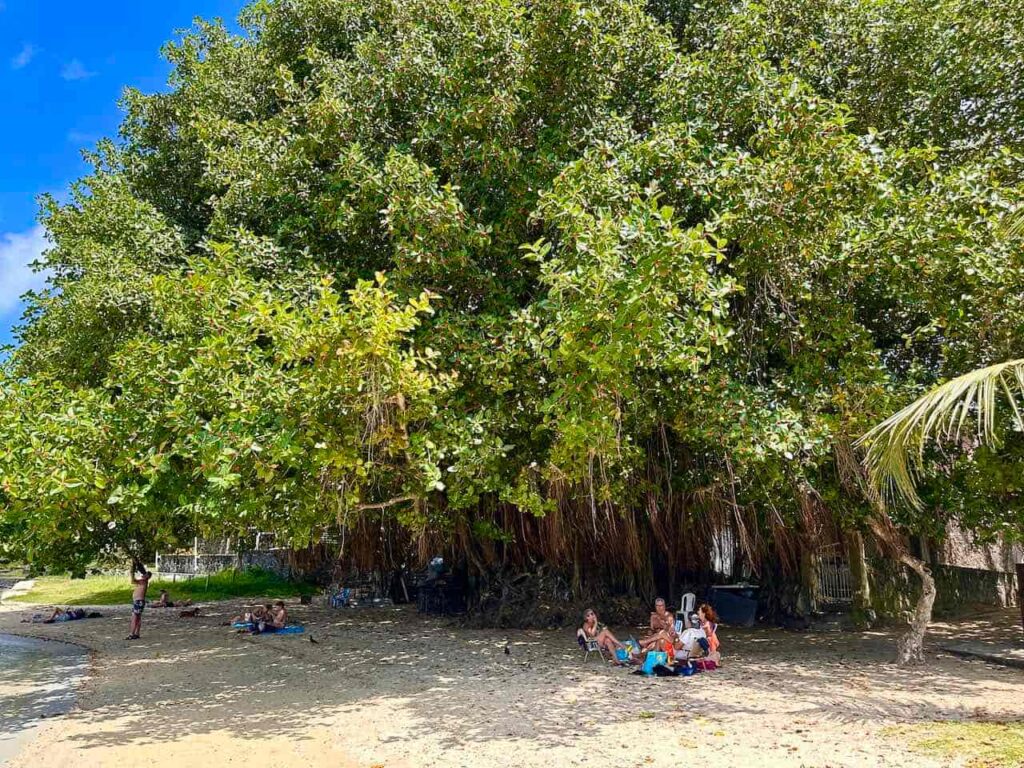 Mauritius: An der Route Mon Choisy Cap Malheureux Foto PetersTravel Peter Pohle