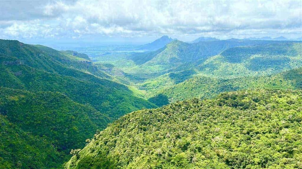 Black River Gorges National Park⁩, ⁨Black River⁩, ⁨Mauritius⁩ Foto PetersTravel Peter Pohle