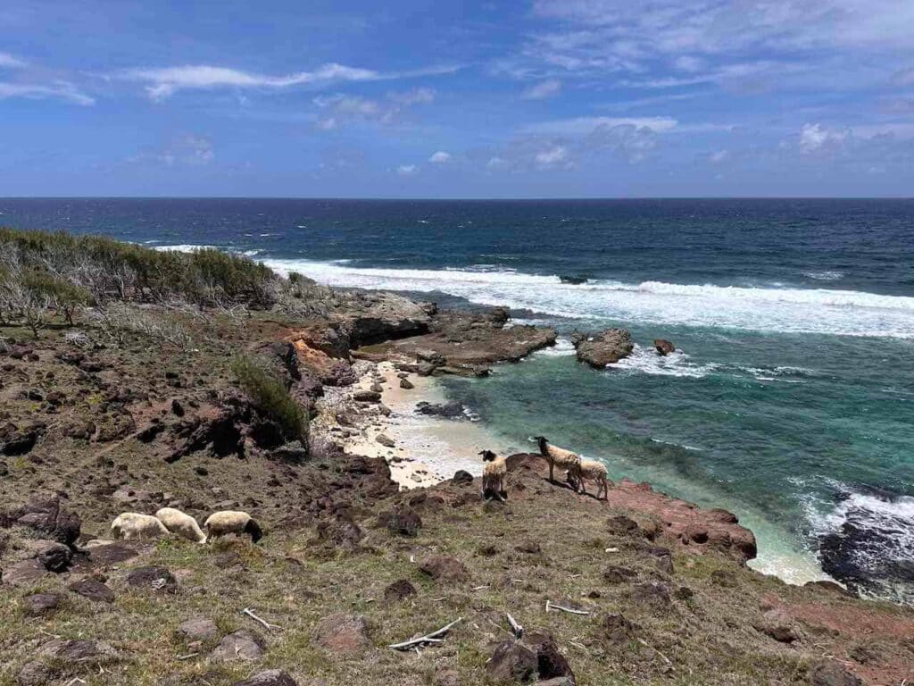 Unterwegs zum Trou d'Argent auf Rodrigues Island Foto PetersTravel Peter Pohle